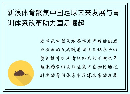 新浪体育聚焦中国足球未来发展与青训体系改革助力国足崛起